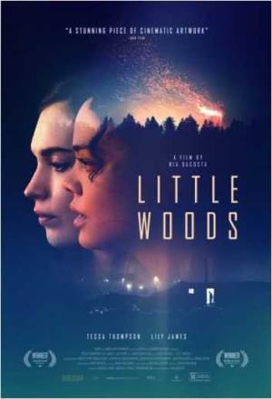 فيلم Little Woods 2018 مترجم HD