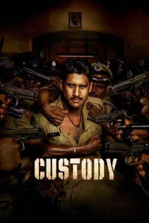 مشاهدة فيلم custody 2023 مترجم