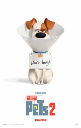 فيلم The Secret Life Of Pets 2 2019 مترجم HD