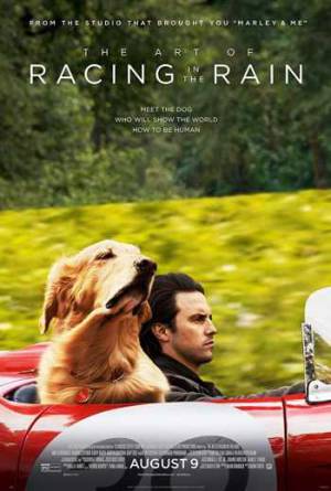 فيلم The Art of Racing in the Rain 2019 مترجم HD